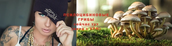 ПСИЛОЦИБИНОВЫЕ ГРИБЫ Липки