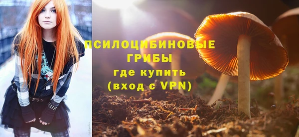 ГАЛЛЮЦИНОГЕННЫЕ ГРИБЫ Лихославль